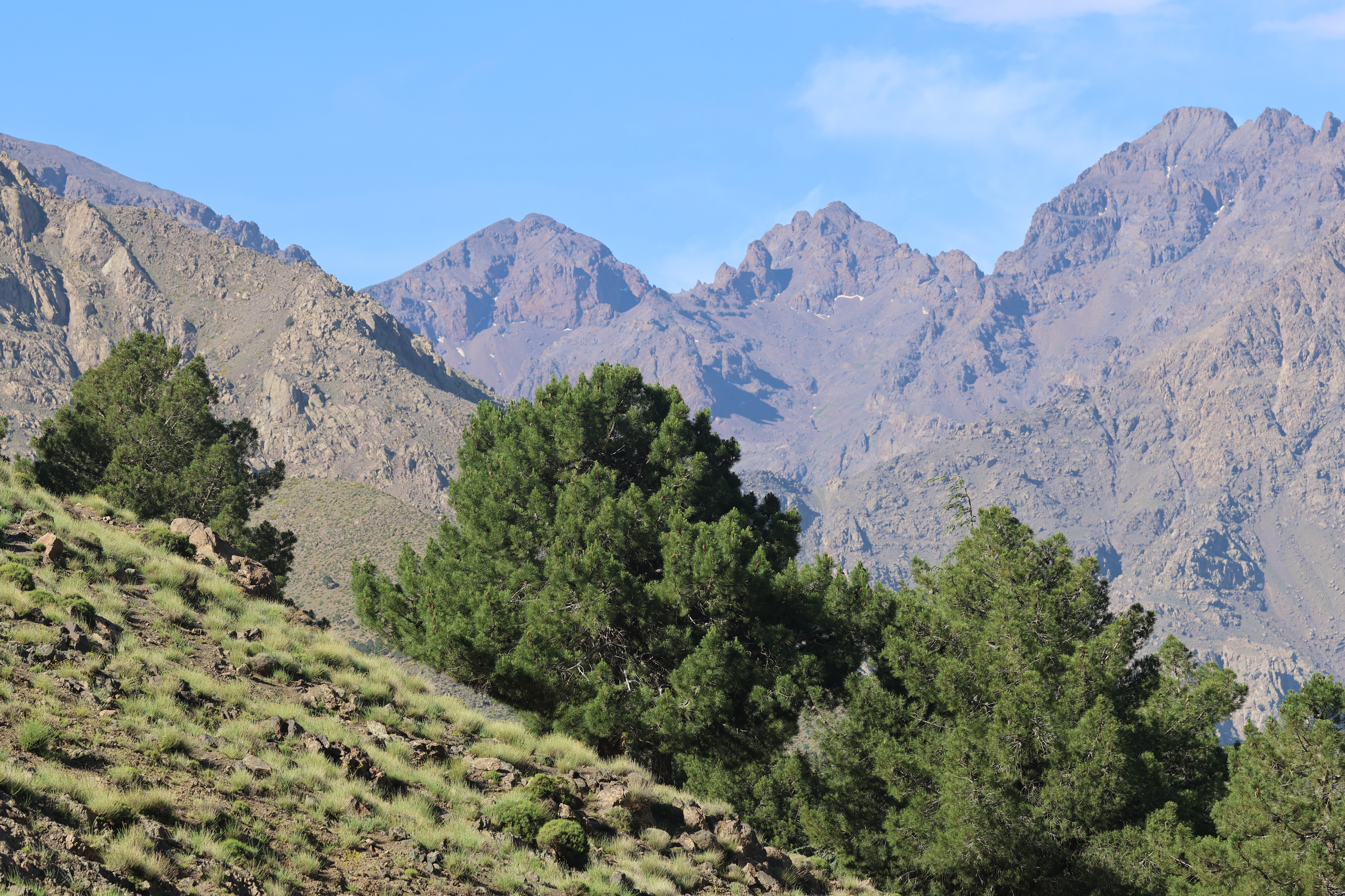 21K Wawgant Goat Trail